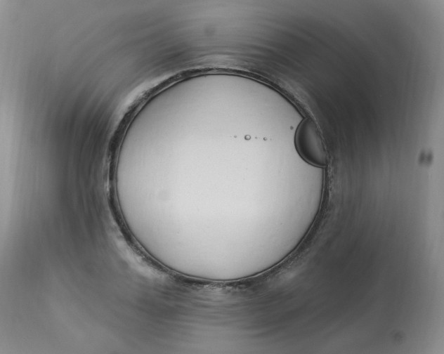 X0000112840987200909111417