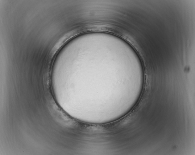 X0000112840994200909111417