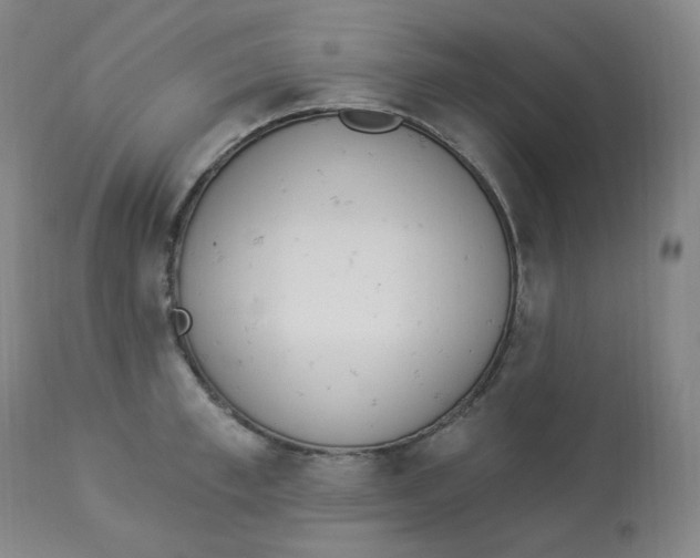 X0000112840997200909111417