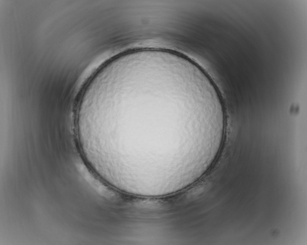 X0000112840998200909111417