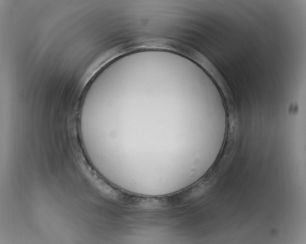 X0000112841002200909111417