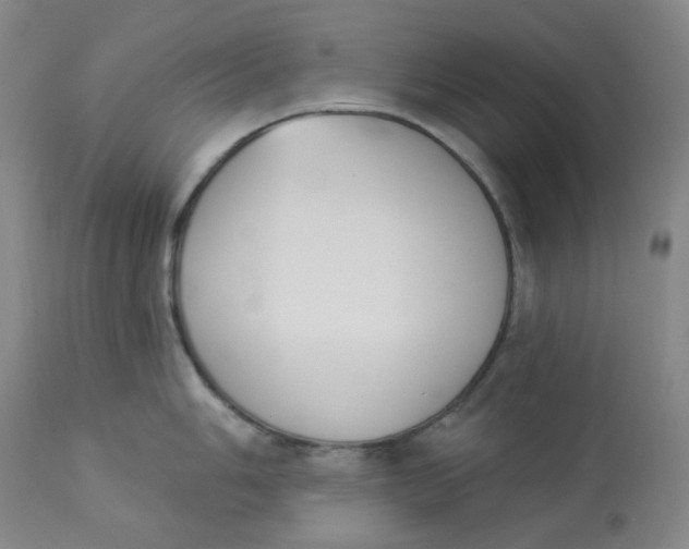 X0000112841006200909111417