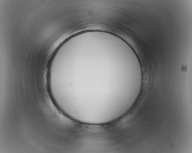 X0000112841007200909111417