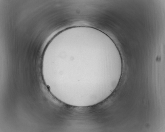 X0000112841008200909111417