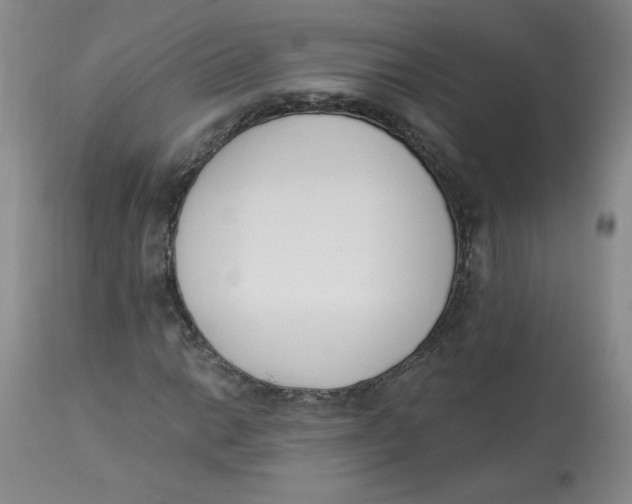 X0000112841014200909111417