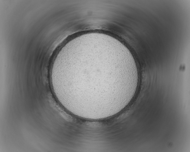 X0000112841023200909111417