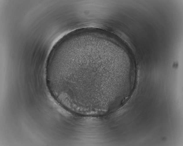 X0000112841024200909111417