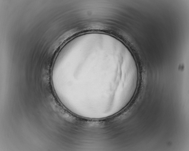 X0000112841025200909111417