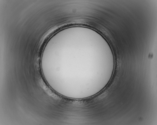 X0000112841029200909111417