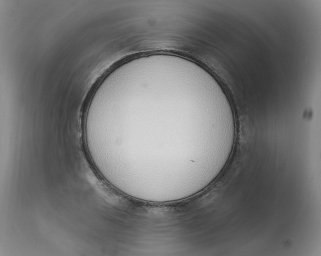 X0000112841031200909111417