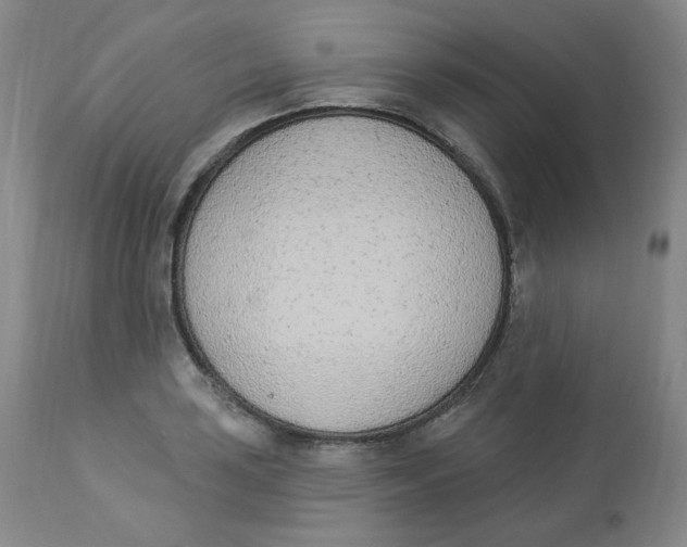 X0000112841035200909111417