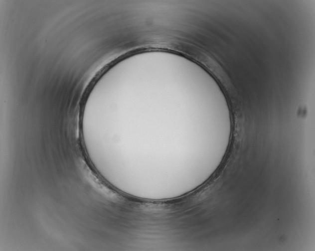 X0000112841036200909111417