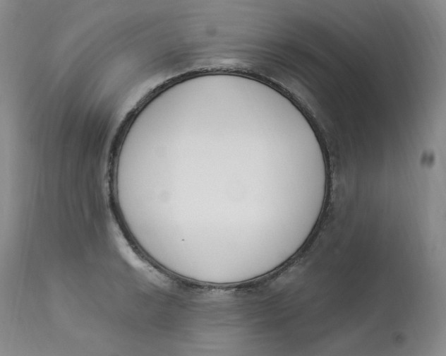 X0000112841038200909111417