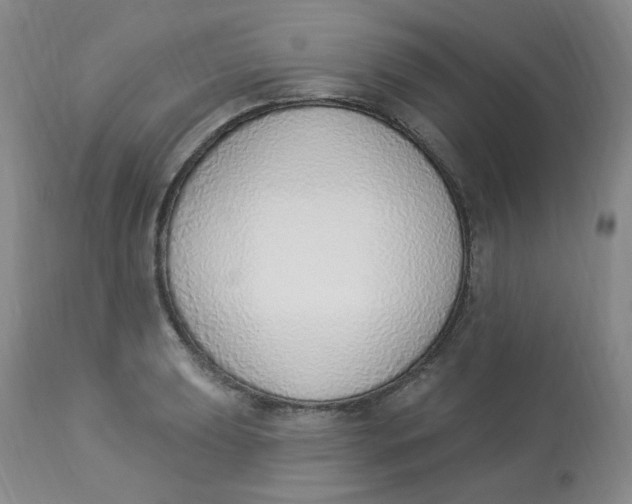 X0000112841039200909111417