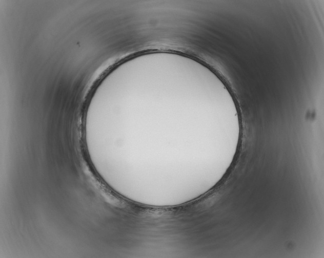 X0000112841040200909111417