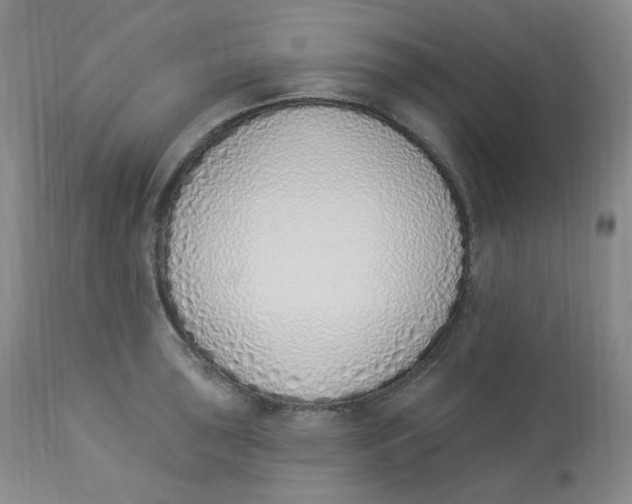 X0000112841043200909111417