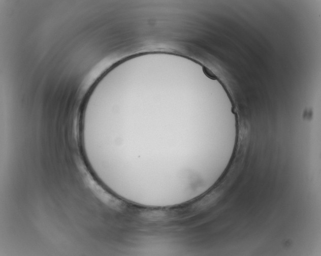 X0000112841054200909111417