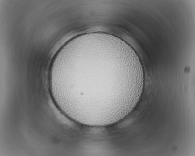 X0000112841055200909111417