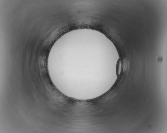 X0000112841059200909111416