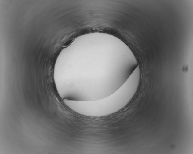 X0000112841060200909111416