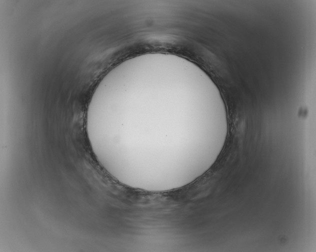 X0000112841061200909111416