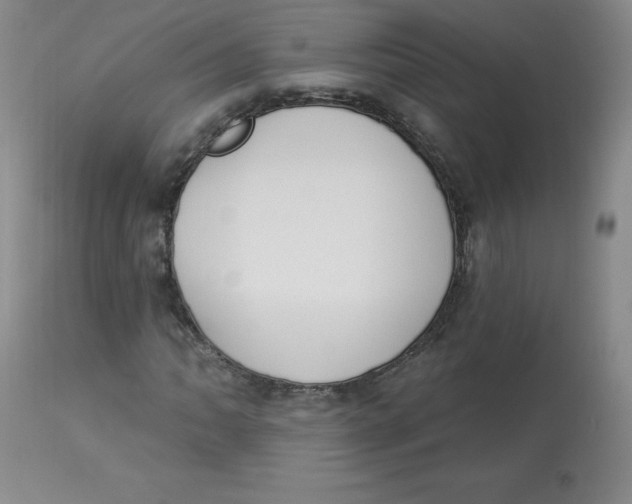 X0000112841062200909111416