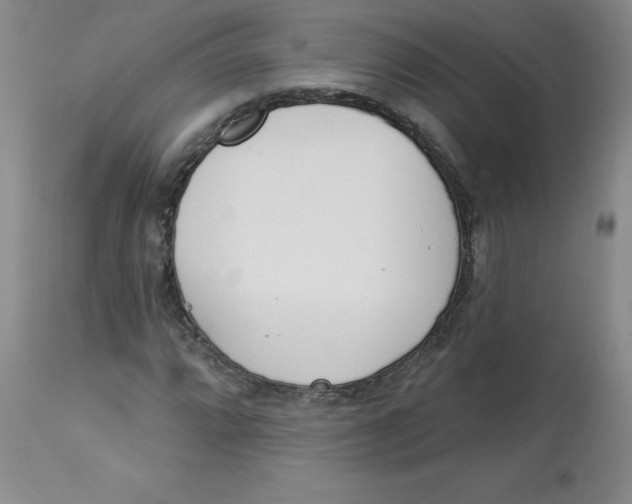 X0000112841064200909111416