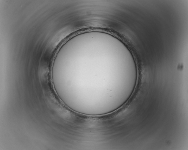 X0000112841065200909111416