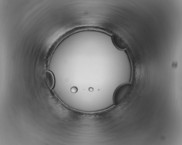 X0000112841069200909111416