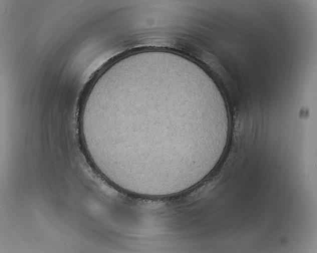 X0000112841071200909111416