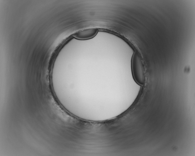 X0000112841072200909111416