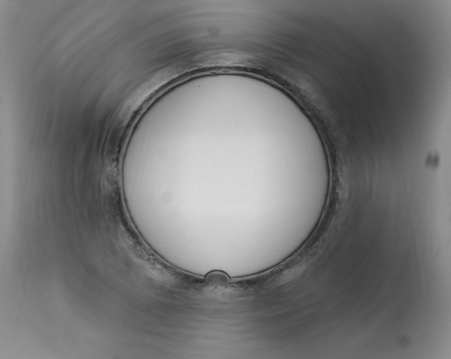 X0000112841073200909111416