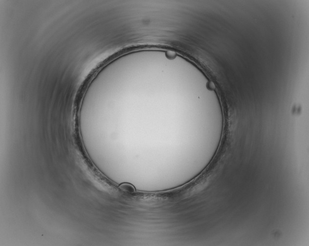 X0000112841077200909111416