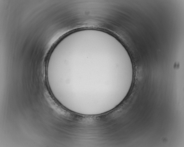 X0000112841078200909111416