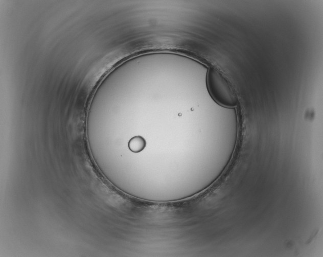 X0000112841081200909111416