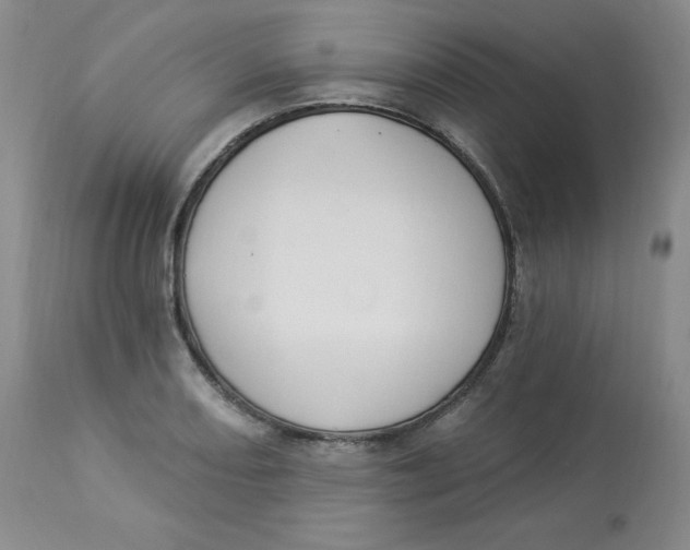 X0000112841082200909111416