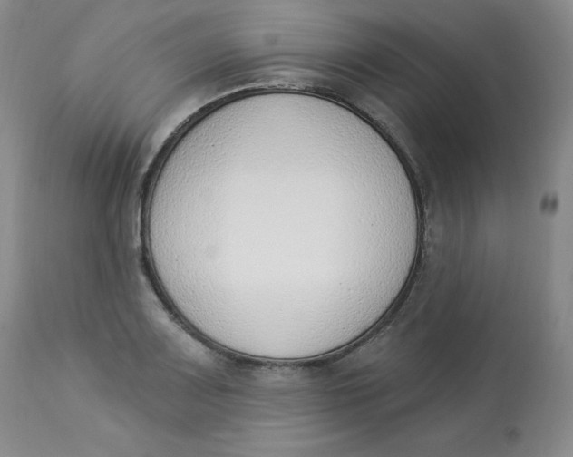 X0000112841083200909111416