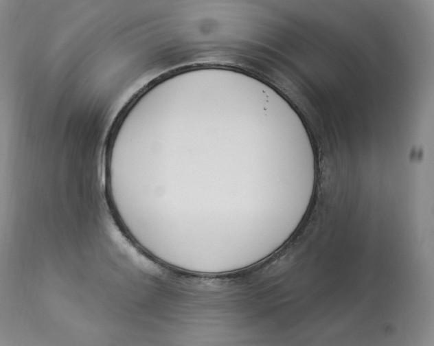 X0000112841084200909111416