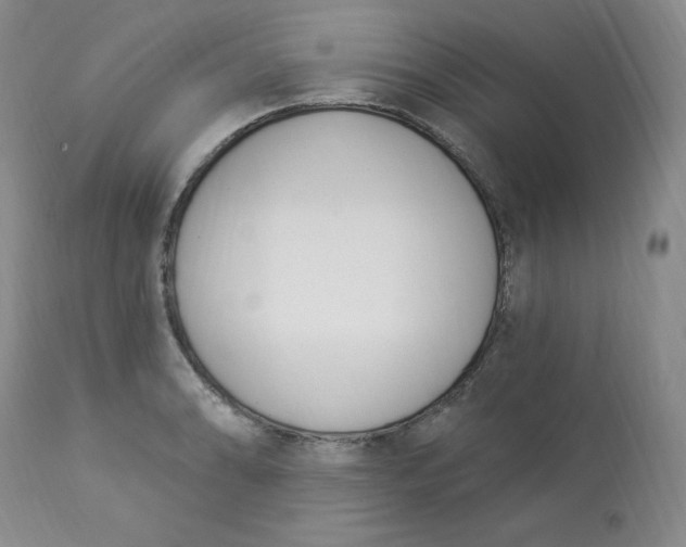 X0000112841086200909111416