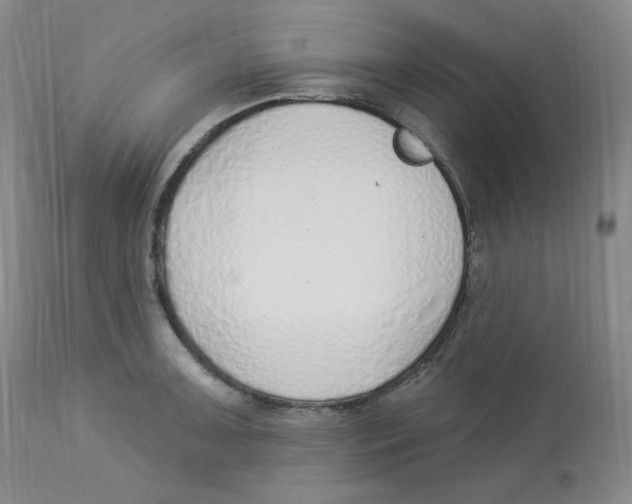 X0000112841091200909111416