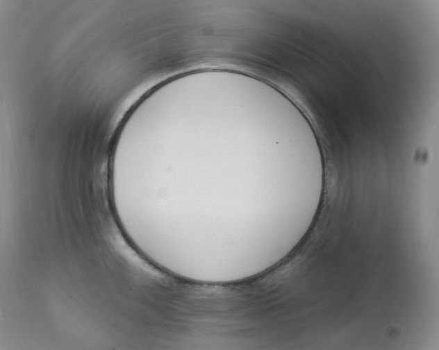 X0000112841100200909111416