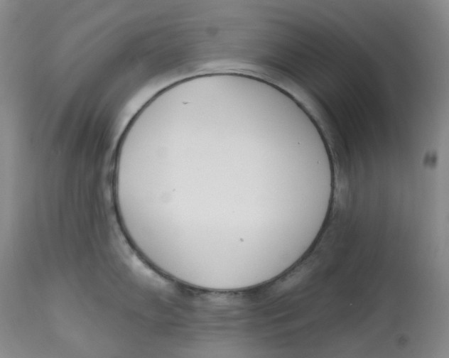 X0000112841102200909111416