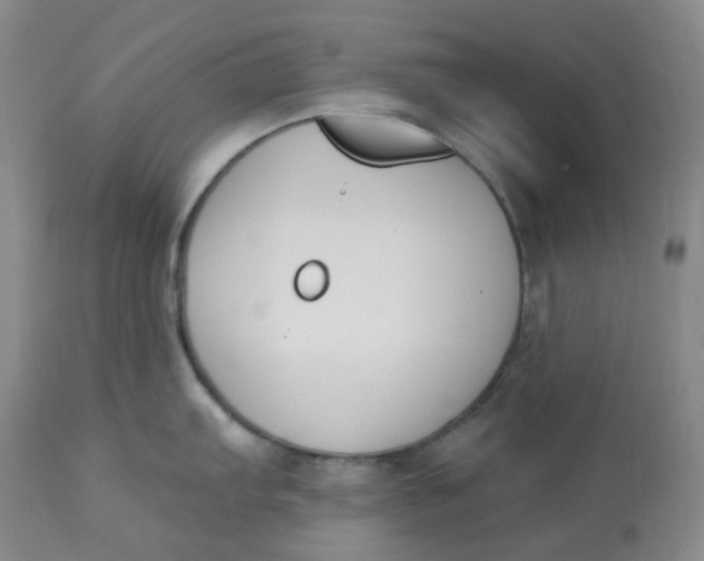 X0000112841103200909111416