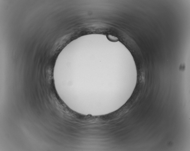 X0000112841108200909111415