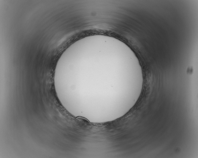 X0000112841110200909111415