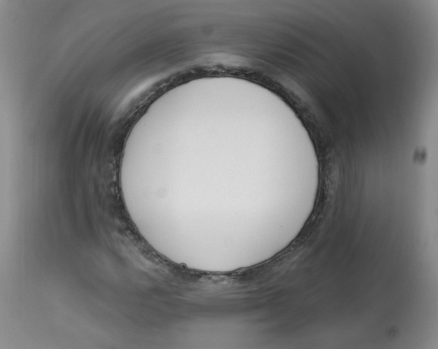 X0000112841112200909111415