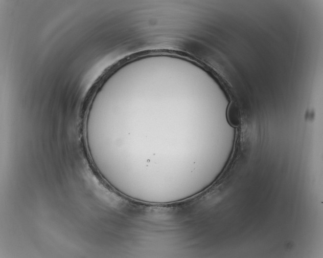 X0000112841116200909111415