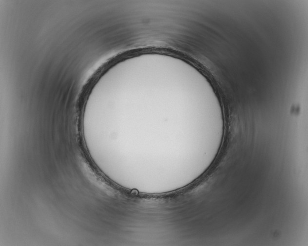 X0000112841118200909111415