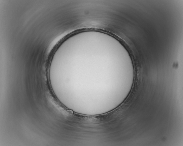 X0000112841120200909111415