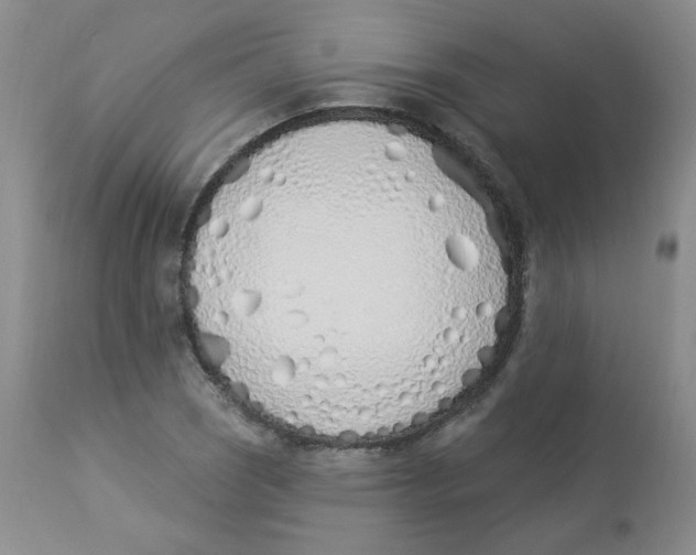 X0000112841121200909111415